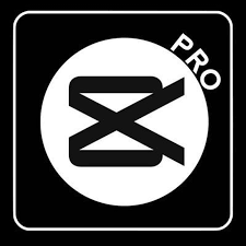 Private Akun 1 Bulan [ Garansi 7 Hari ]